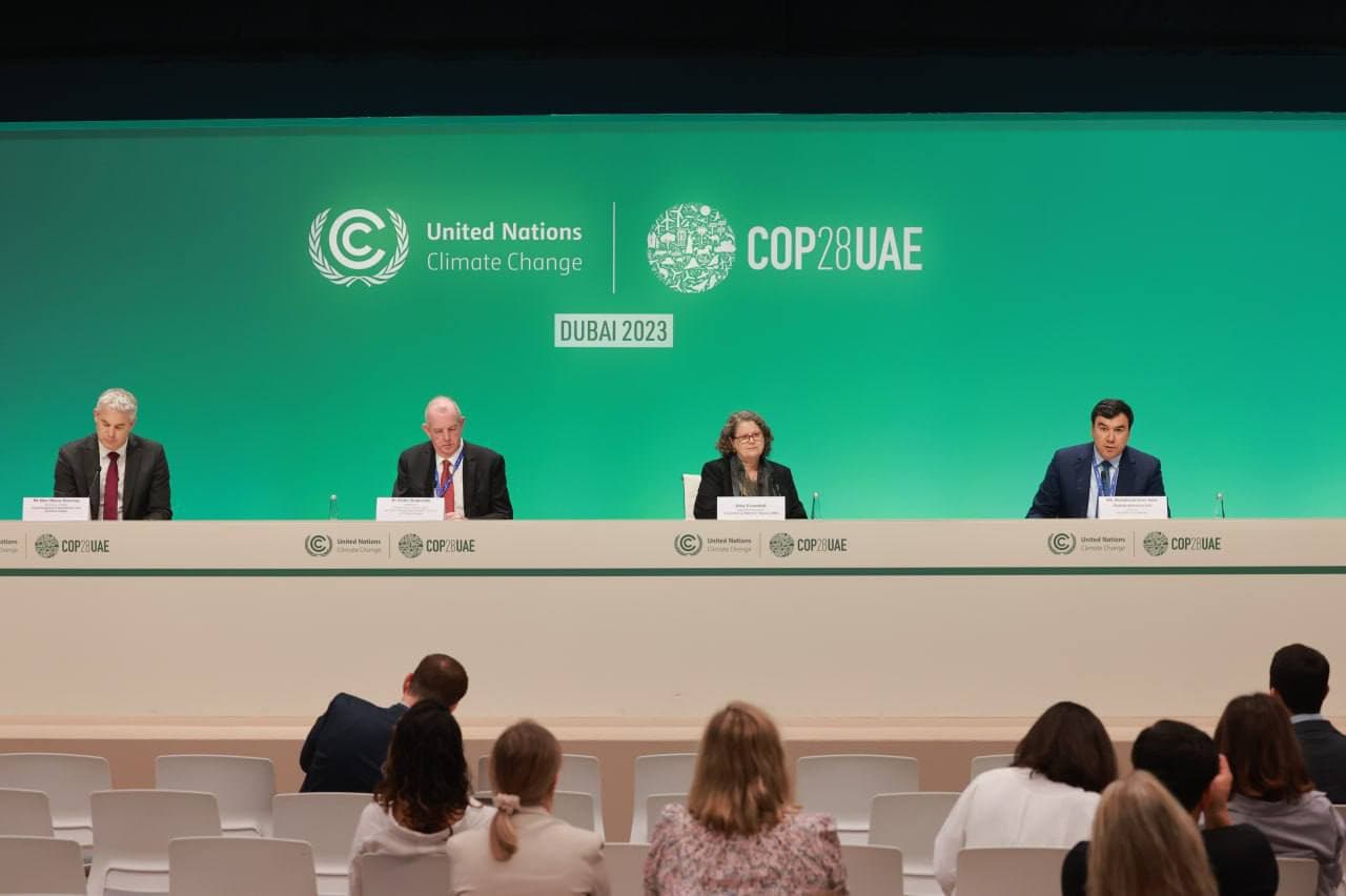 COP28: Climate change has a negative impact on migratory species of wildlife