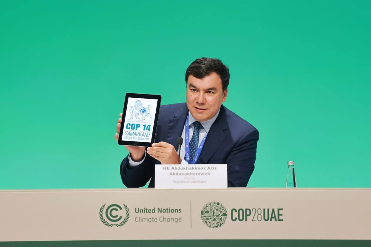 COP28: Climate change has a negative impact on migratory species of wildlife