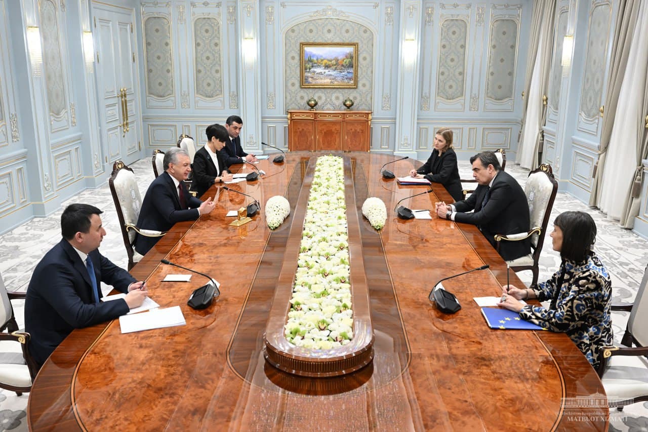 The President of Uzbekistan receives the EU delegation