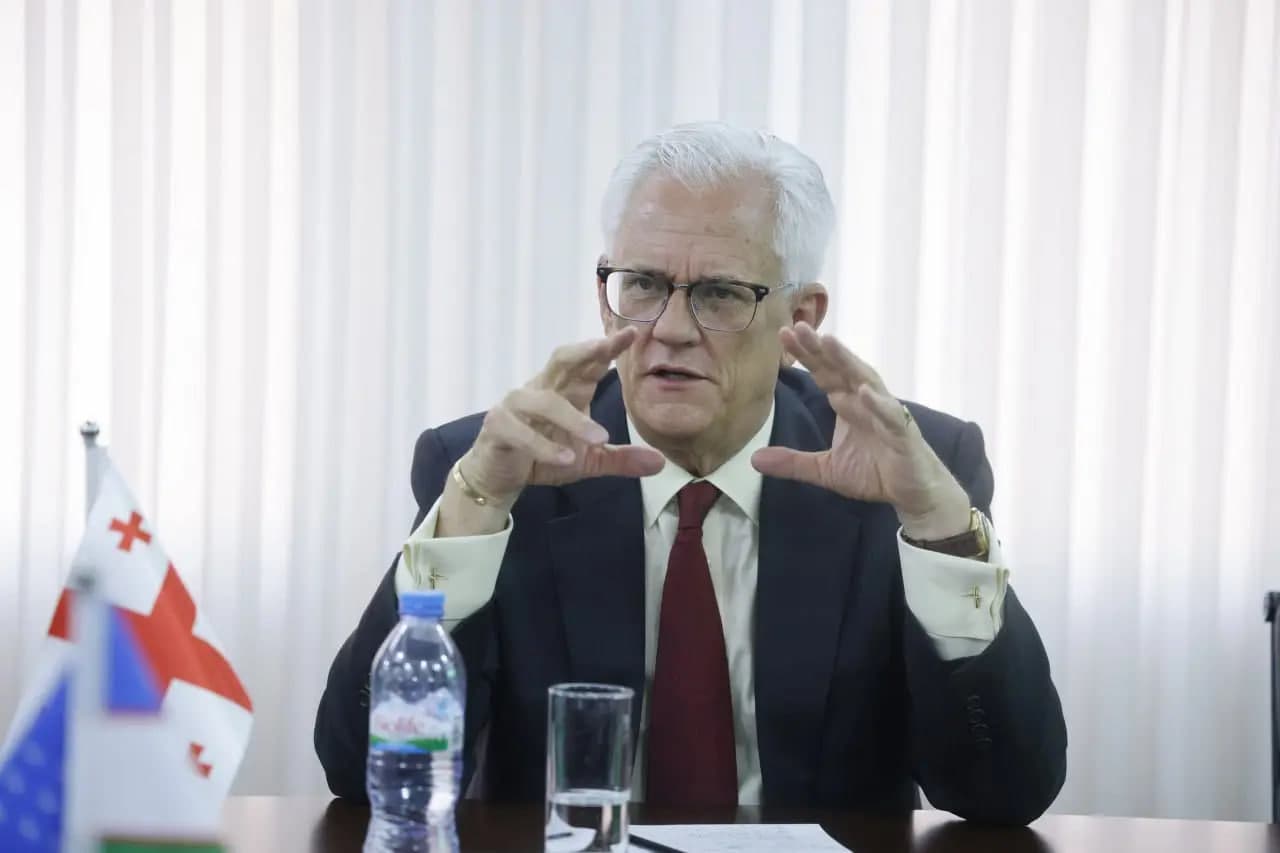 O‘zbekiston-Gruziya: Zaytun yetishtirishda yangi hamkorlik aloqalari o‘rnatilmoqda