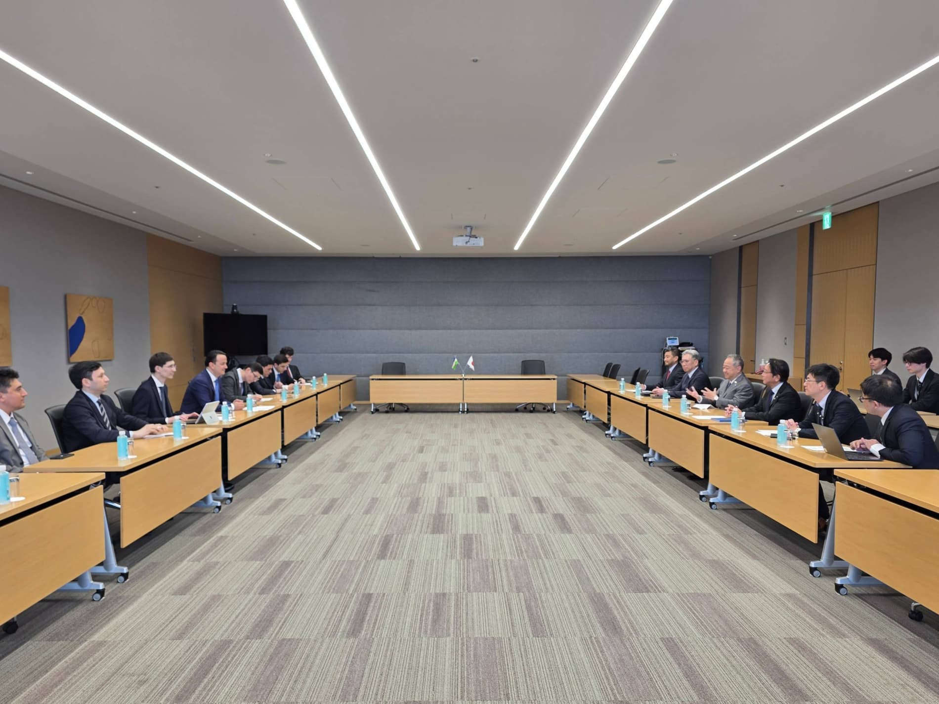 Negotiations on the development of Uzbek-Japanese economic cooperation
