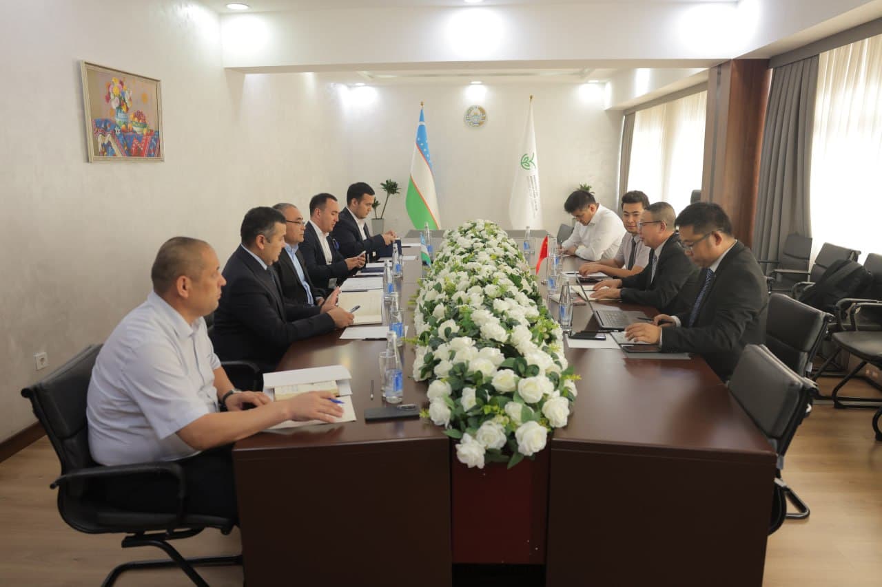 Jizzaxda makkajo‘xorini chuqur qayta ishlash bo‘yicha yirik investitsiya loyihasi muhokama qilindi