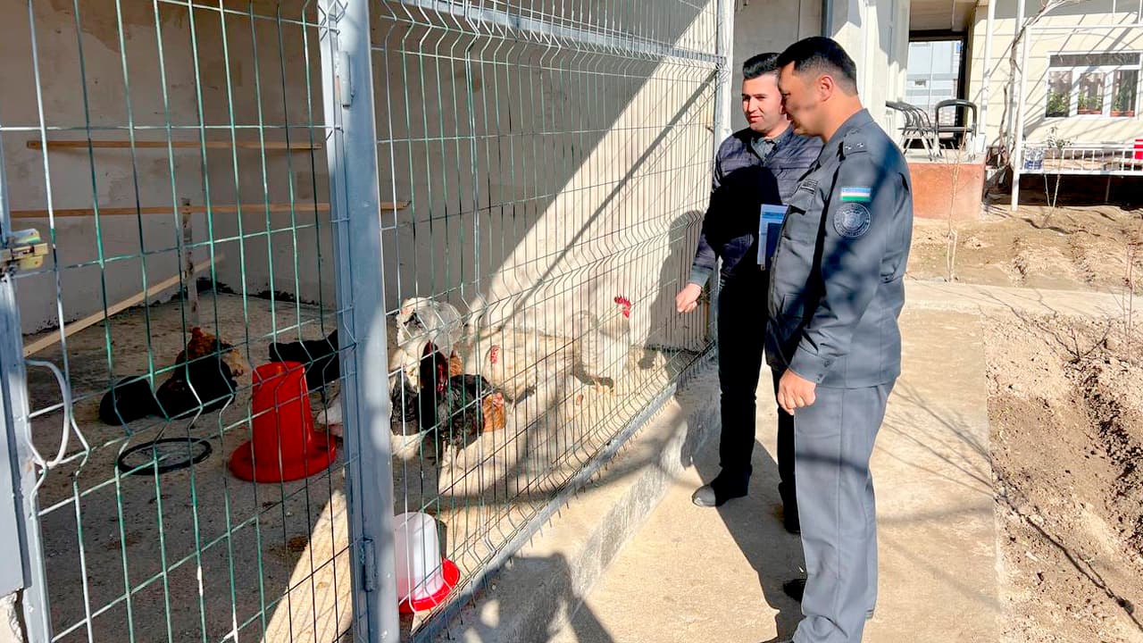 Namangan viloyati Kosonsoy tumanining "Namuna" mahallasida "Sayxunobod tajribasi"ni ommalashtirish yuzasidan oʻquv-seminar tashkil etildi