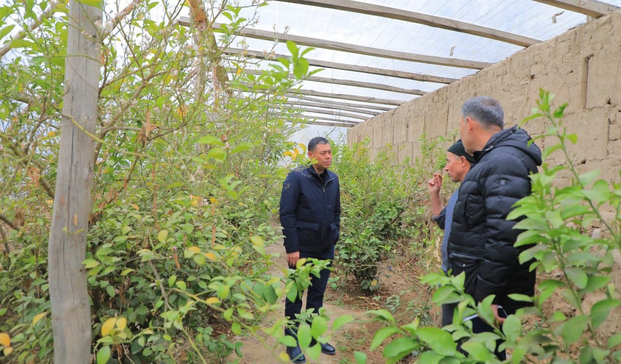 Наманган вилоятининг 3-сектор ҳудудида «Сайхунобод тажрибаси» оммалаштирилмоқда