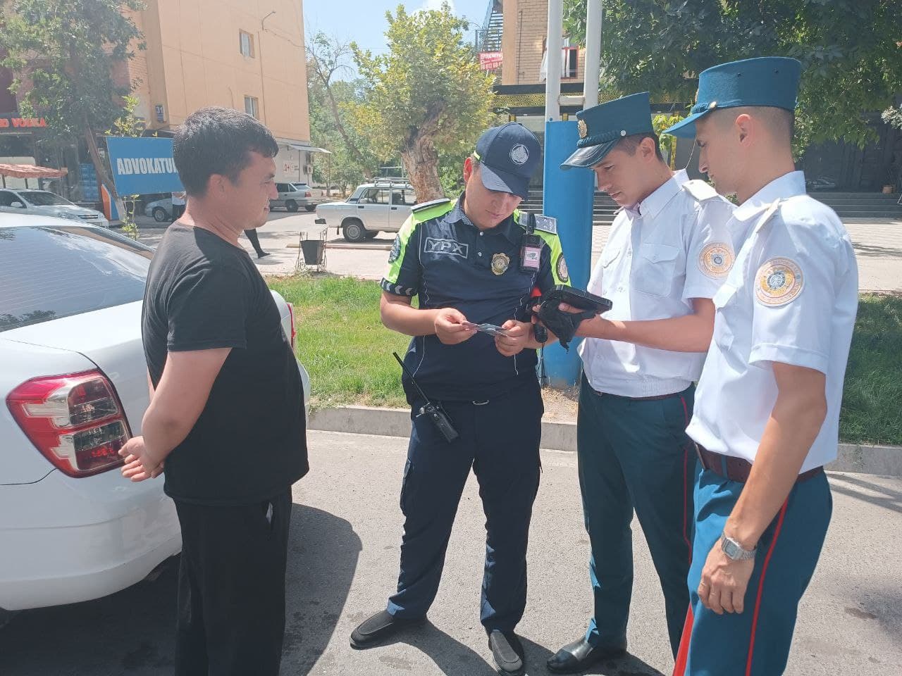 Young professionals of the MIA Advanced Training Institute are gaining practical experience