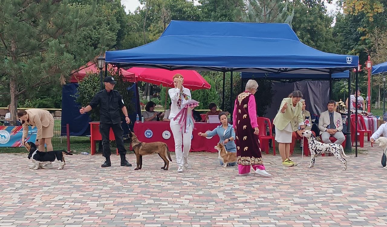 Махсус тайёргарлик ўқув марказ хизмат итлари — Мустақил давлатлар ҳамдўстлиги чемпиони