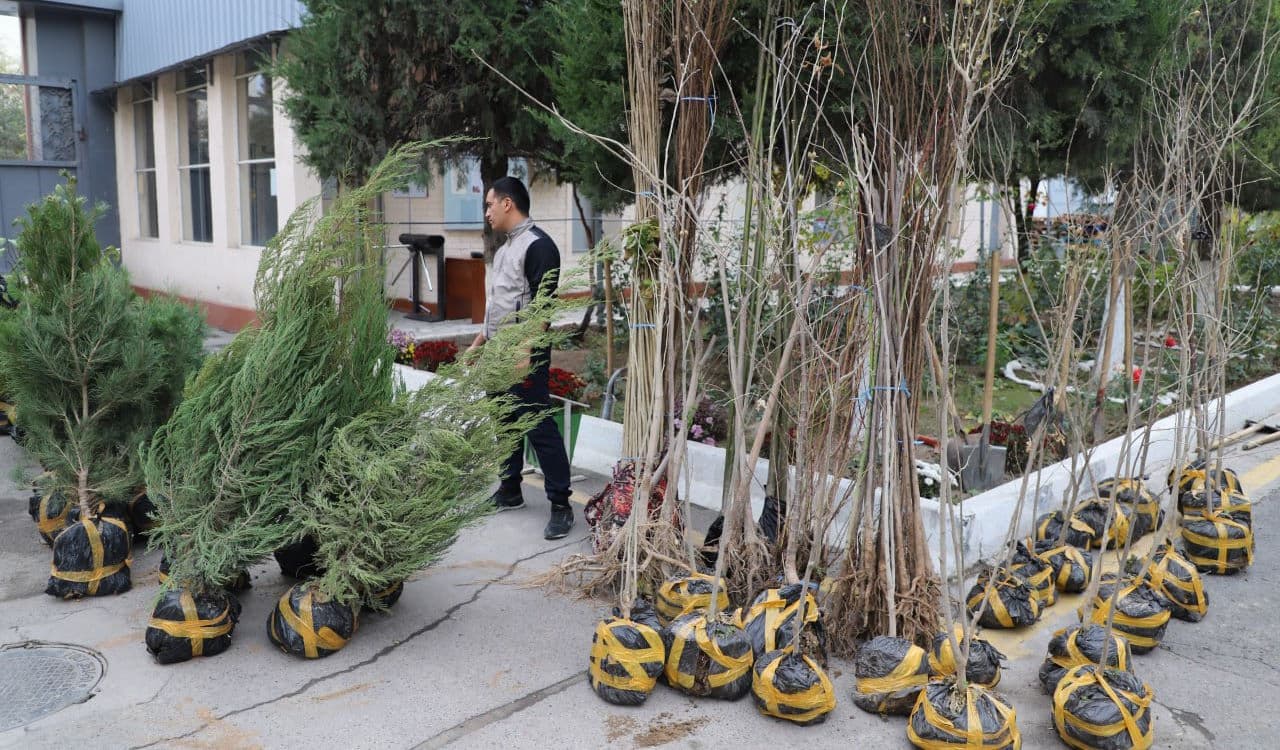 Ички ишлар вазирлиги Малака ошириш институти ходимлар ва тингловчилари “Яшил макон” умуммиллий лойиҳаси доирасида мевали ва манзарали дарахтлар, буталар экиш ишларини амал оширдилар