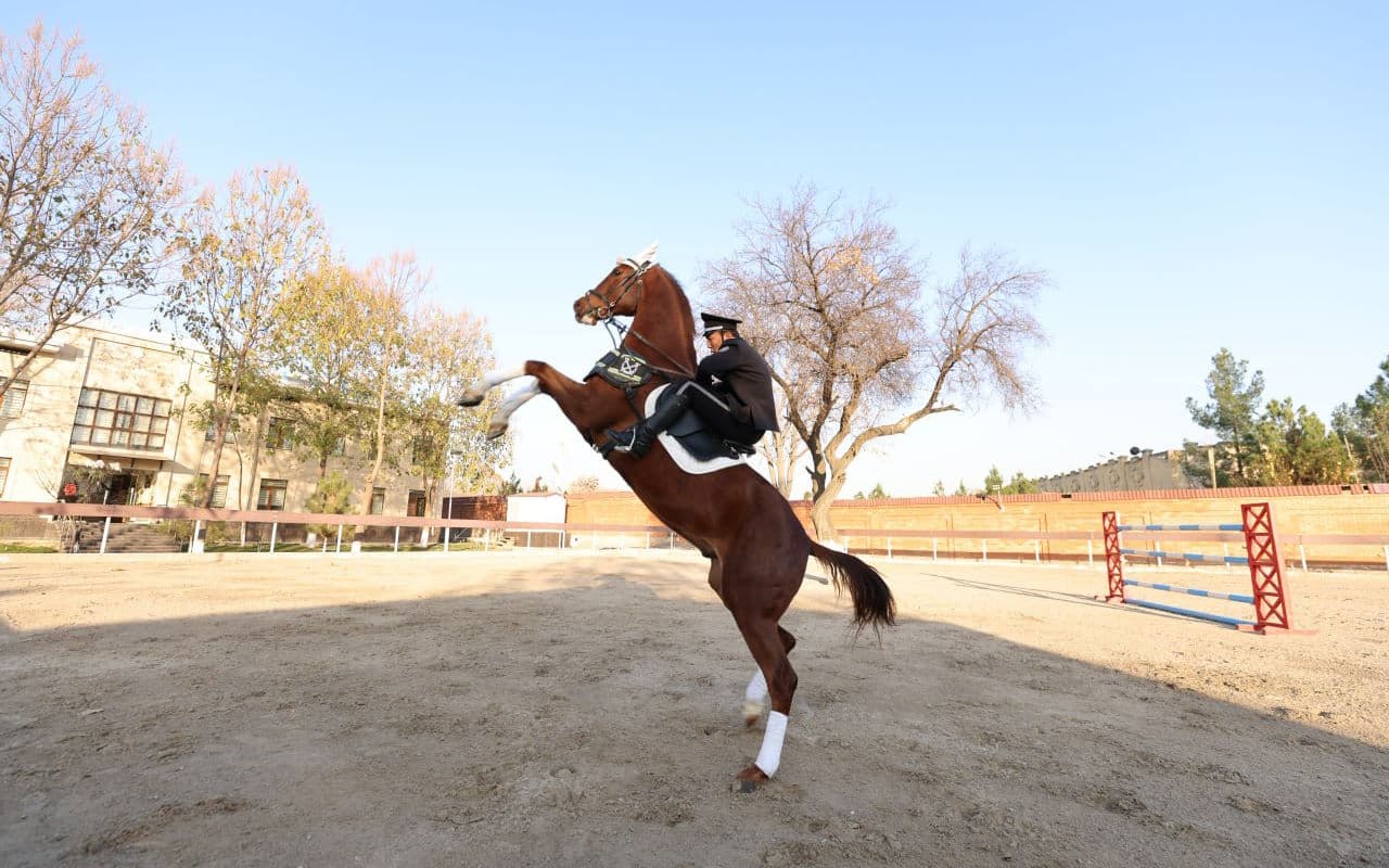 Делегация МВД Кыргызской Республики ознакомилась с деятельностью конного отряда Патрульно-постовой службы ГУВД города Ташкента и махаллинской семерки махалли Хуросон Чиланзарского района