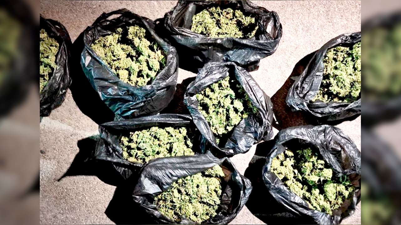 27-31 января текущего года в масштабах нашей страны структурами СГБ и МВД Республики Узбекистан проведены масштабные мероприятия "Антитеррор-тозалаш"