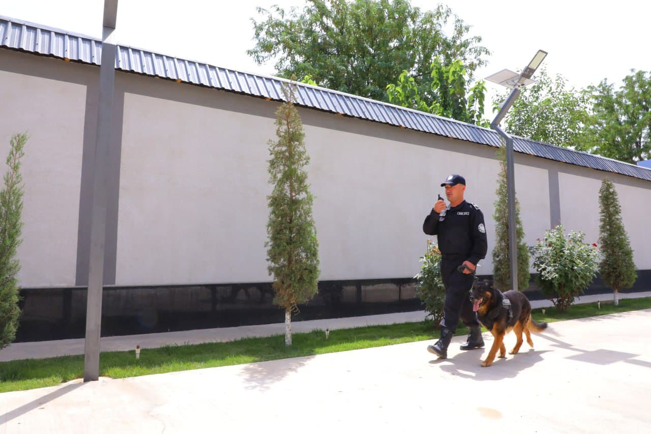 Surxondaryo viloyatining Qoʻriqlash tizimida kinologiya xizmati rivojlanmoqda