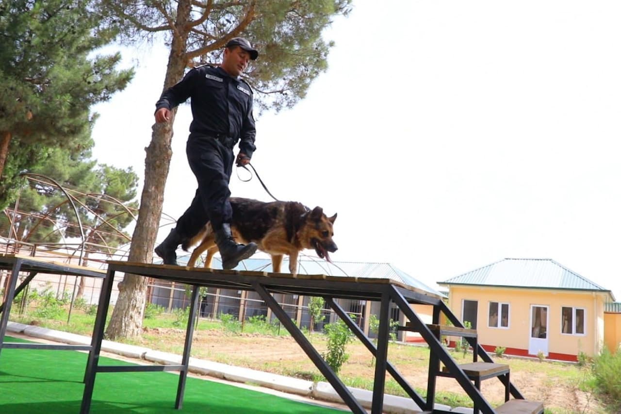 Surxondaryo viloyatining Qoʻriqlash tizimida kinologiya xizmati rivojlanmoqda
