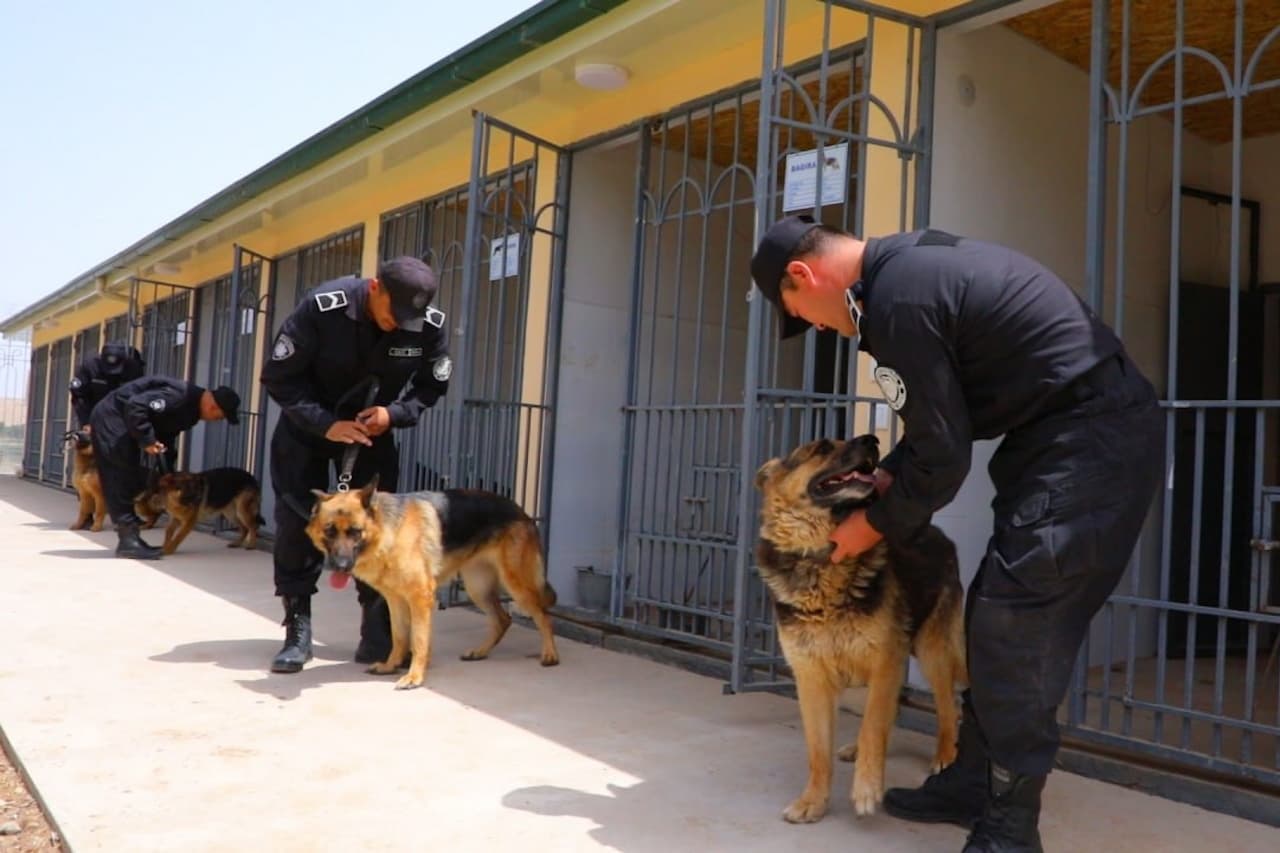 Surxondaryo viloyatining Qoʻriqlash tizimida kinologiya xizmati rivojlanmoqda