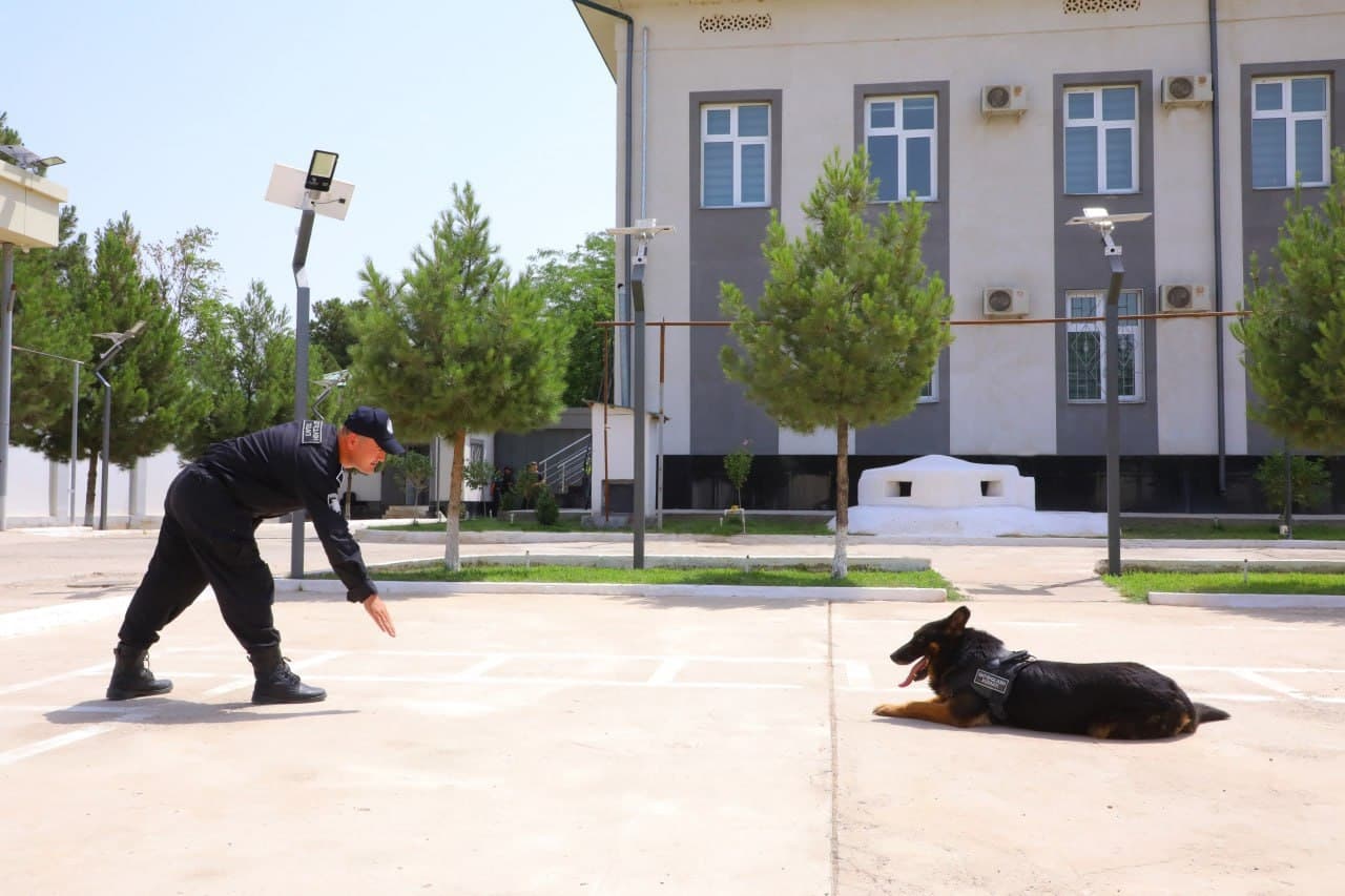 Surxondaryo viloyatining Qoʻriqlash tizimida kinologiya xizmati rivojlanmoqda