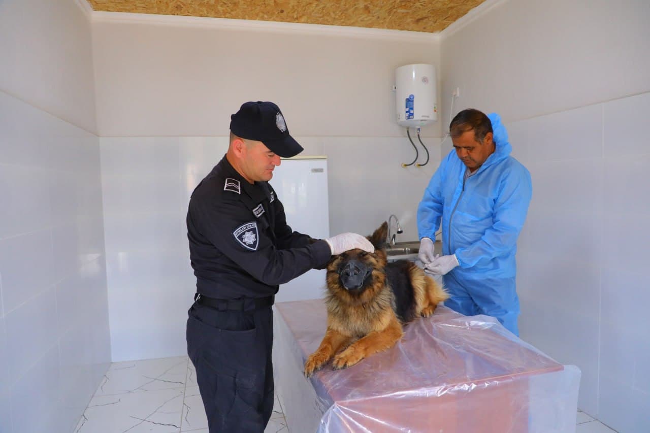 Surxondaryo viloyatining Qoʻriqlash tizimida kinologiya xizmati rivojlanmoqda