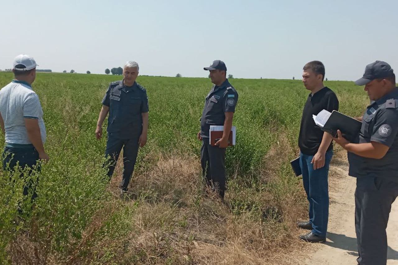 Respublika ishchi guruhi tomonidan Boʻka tumani Boʻston MFYda joylashgan 43-son manzil koloniyasining ish faoliyati oʻrganildi