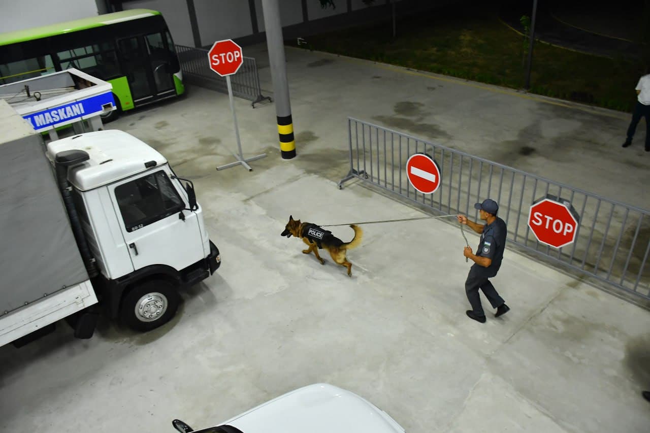 Развитие кинологической службы и подготовка служебных собак по специальным направлениям в деятельности органов внутренних дел выведены на новый уровень