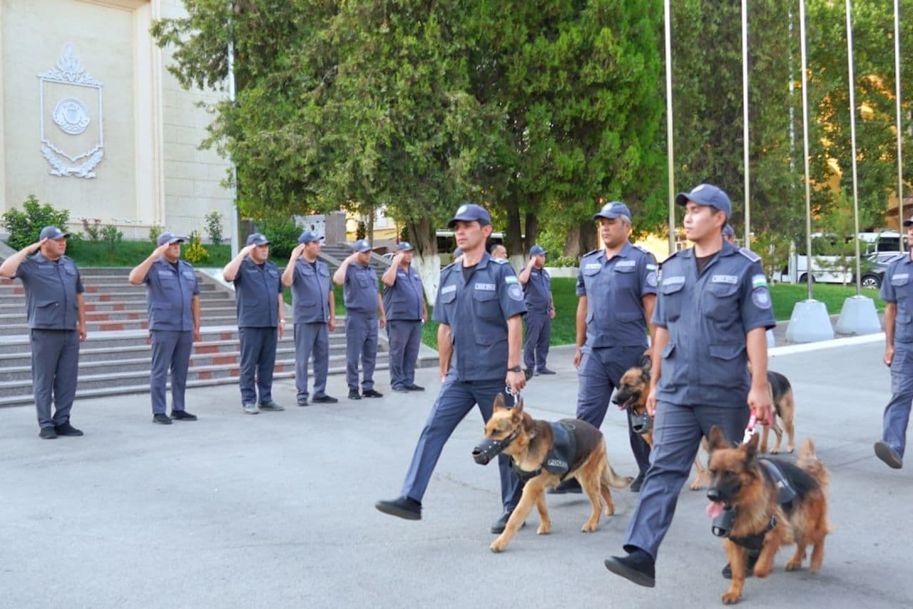 “Xavfsiz va sogʻlom yurt”: Toshkent viloyatida kuchaytirilgan tungi nazorat tadbirlari boshlandi