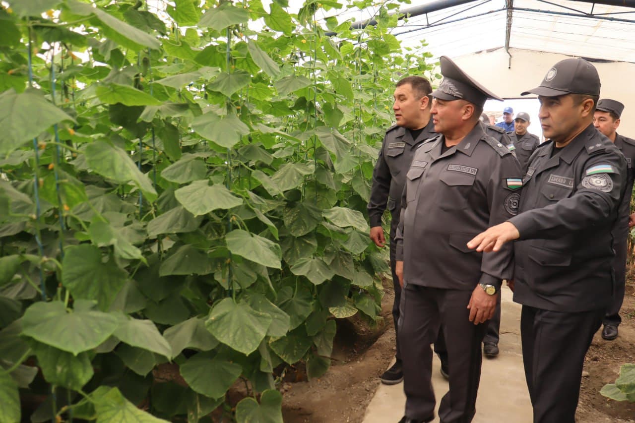 Руководство Министерства внутренних дел ознакомилось с работой, осуществляемой в исправительном учреждении №5, расположенном в Навоийской области