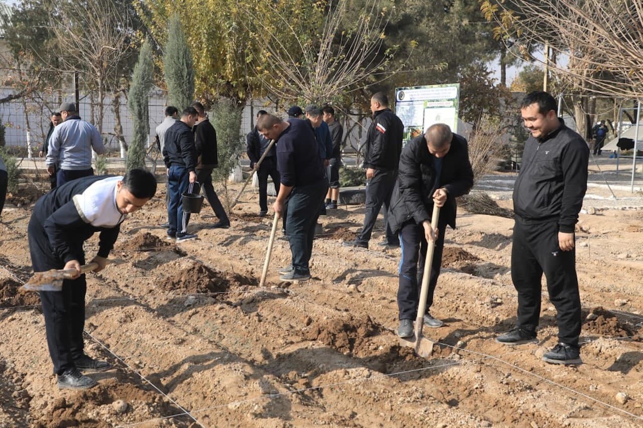 Surxondaryo viloyati IIB boshligʻi tomonidan Muzrabot tumanida “Yashil makon” loyihasi va Boysun tumanida Prezidentimizning 2025-yil 3-yanvardagi PQ-1-son qarori ijrosini taʼminlash boʻyicha amaliy ishlar oʻrganildi