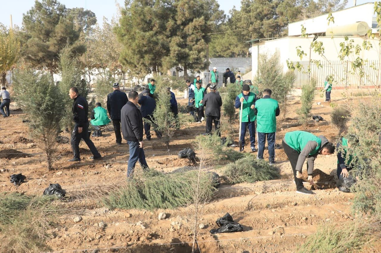 Surxondaryo viloyati IIB boshligʻi tomonidan Muzrabot tumanida “Yashil makon” loyihasi va Boysun tumanida Prezidentimizning 2025-yil 3-yanvardagi PQ-1-son qarori ijrosini taʼminlash boʻyicha amaliy ishlar oʻrganildi