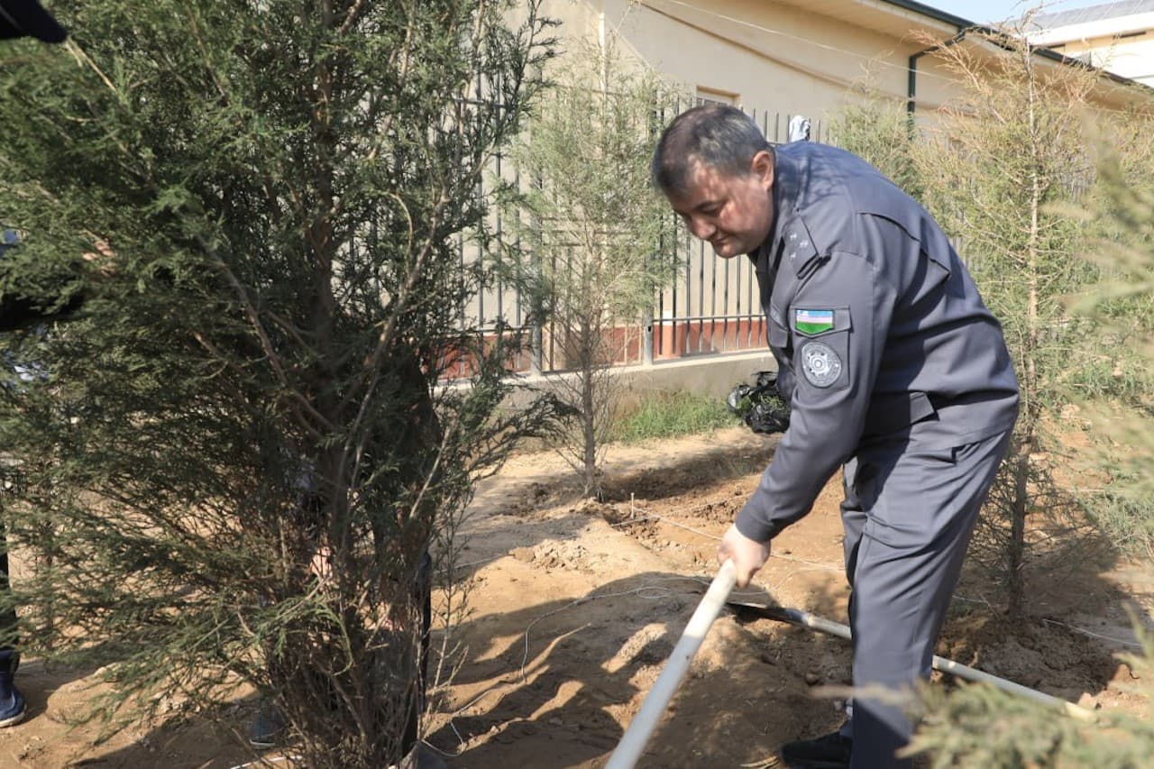 Surxondaryo viloyati IIB boshligʻi tomonidan Muzrabot tumanida “Yashil makon” loyihasi va Boysun tumanida Prezidentimizning 2025-yil 3-yanvardagi PQ-1-son qarori ijrosini taʼminlash boʻyicha amaliy ishlar oʻrganildi