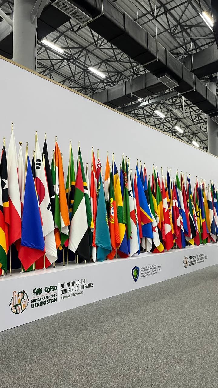 Uzbekistan’s National Central Bureau of Interpol participated in “CITES CoP20” Events