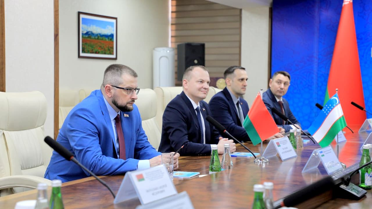 В рамках практического визита в нашу страну представители Республики Беларусь посетили Академию Министерства внутренних дел