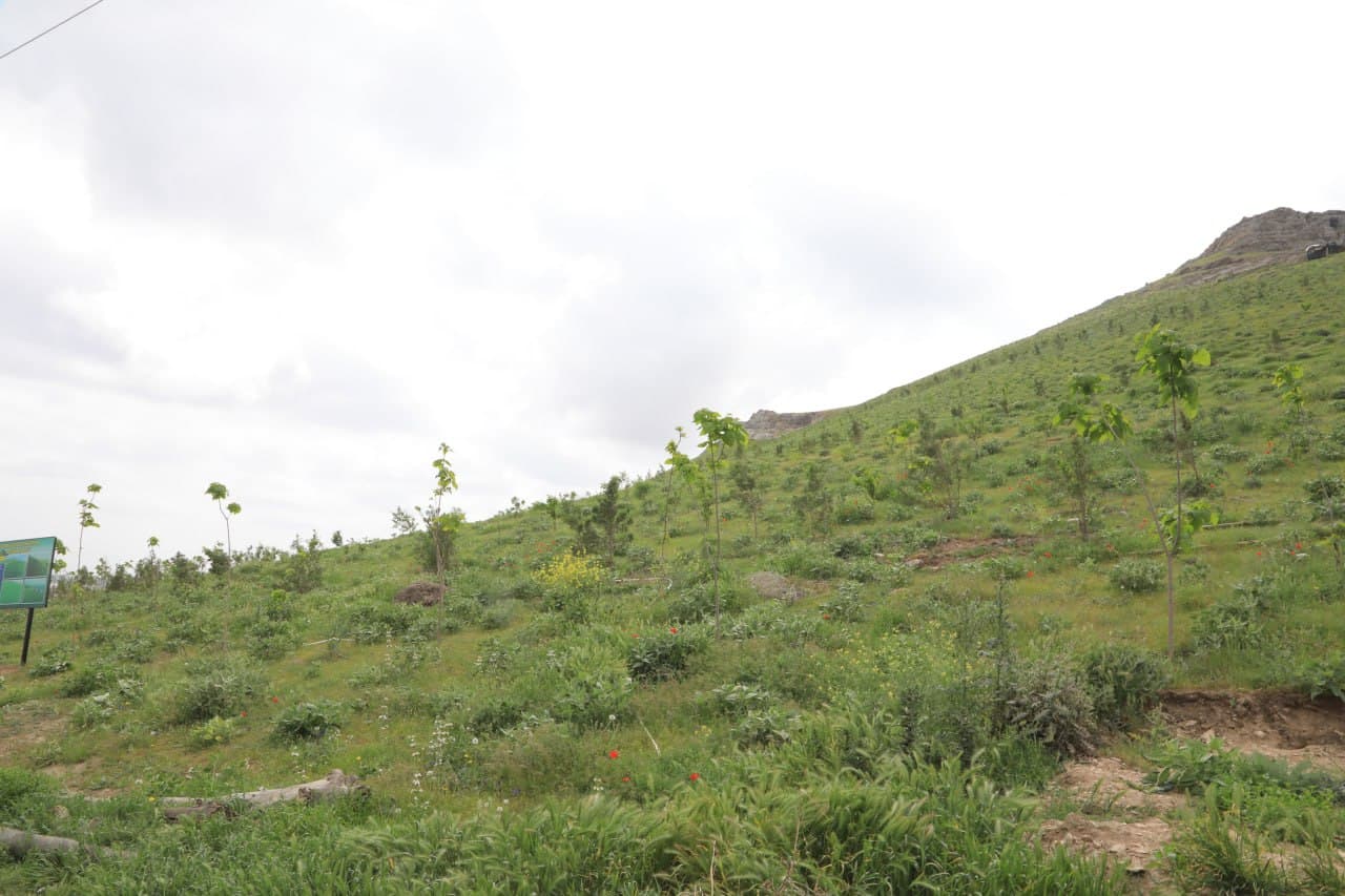 Пресс-тур в УВД Джизакской области: социальная защита, современные условия и пример преобразований в рамках проекта "Яшил макон"