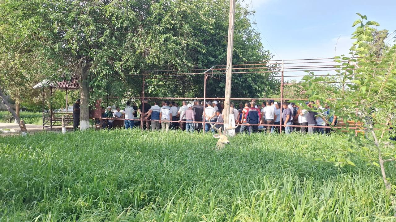 Buxoro viloyati Kogon tumanida gʻalla oʻrimini xavfsiz va uyushqoqlik bilan oʻtkazishga bagʻishlangan yigʻilish boʻlib oʻtdi