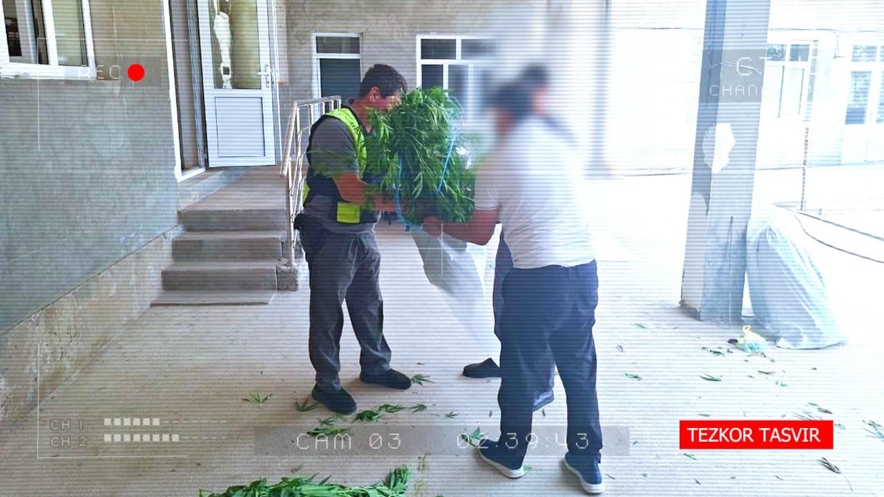 В ходе широкомасштабных оперативно-профилактических мероприятий "Безопасная и здоровая страна" выявлен гражданин, выращивавший у себя дома наркосодержащие растения