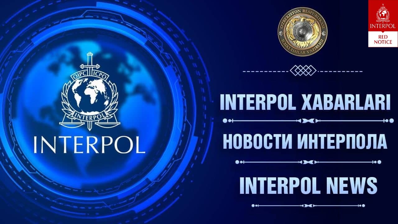 Лицо, находившееся в международном розыске по обвинению в мошенничестве, возвращено в Республику Узбекистан