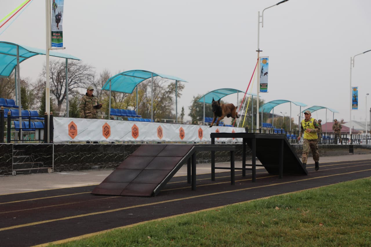 Соревнования на звание «Лучший кинолог»