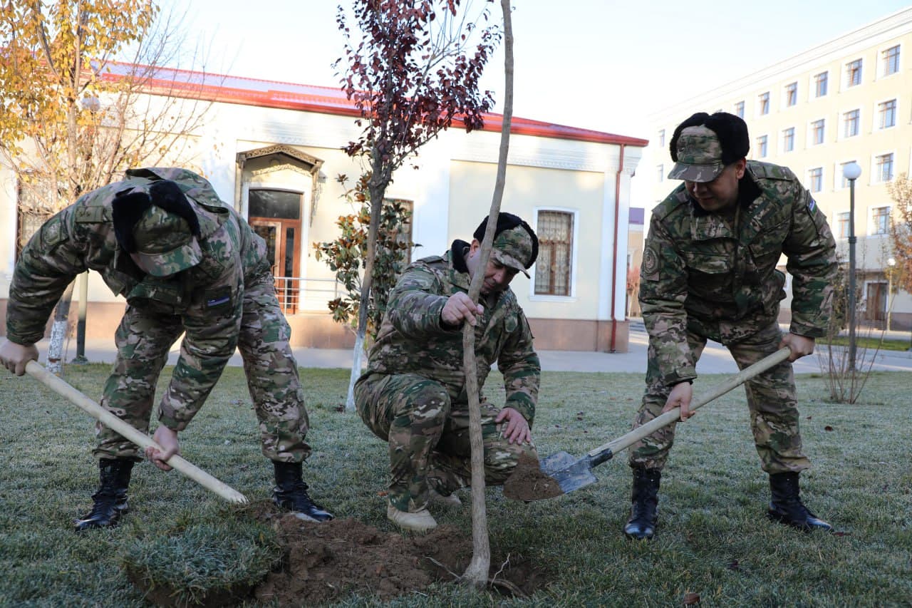 “Yashil makon” umummilliy loyihasida yangicha tajriba