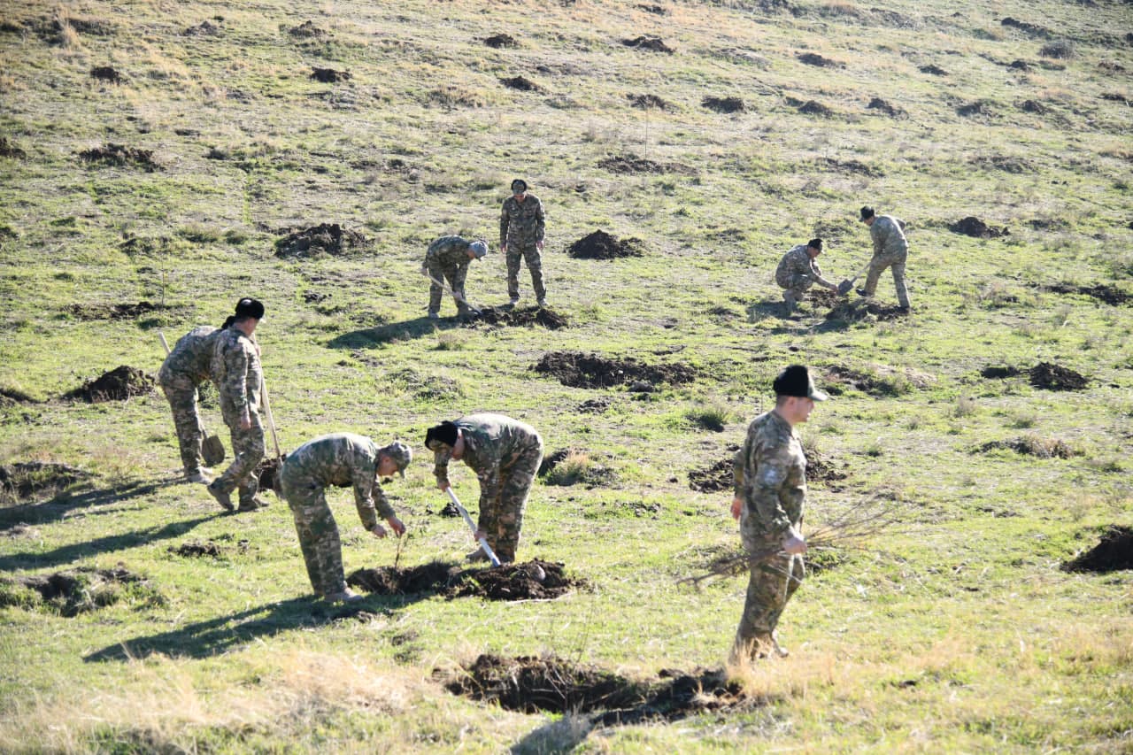 “Yashil makon” umummilliy loyihasida yangicha tajriba