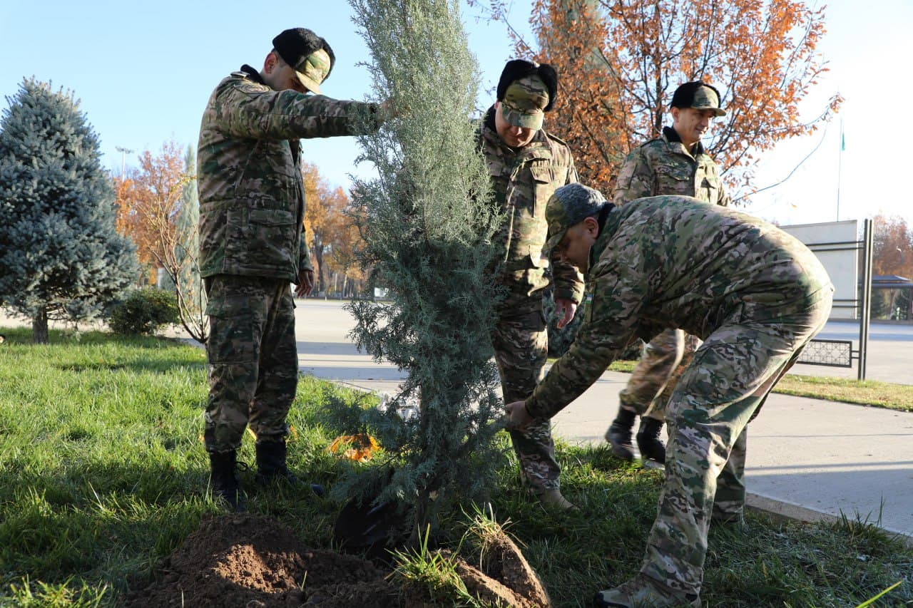 “Yashil makon” umummilliy loyihasida yangicha tajriba