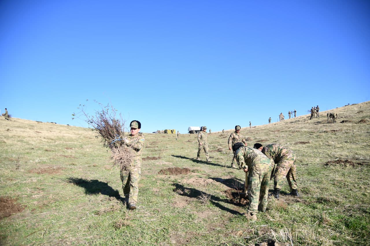 “Yashil makon” umummilliy loyihasida yangicha tajriba