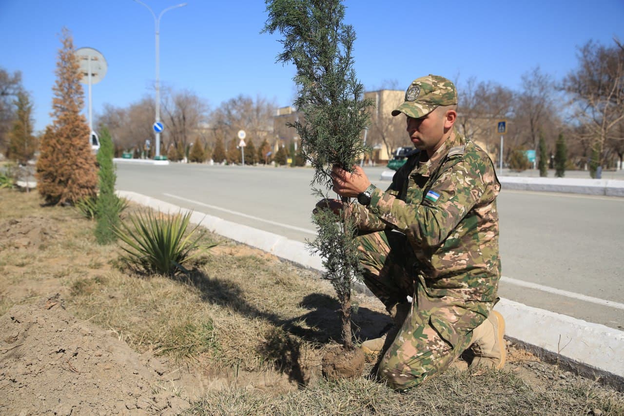 На севере уделяется огромное внимание общенациональному проекту «Зелёное пространство»