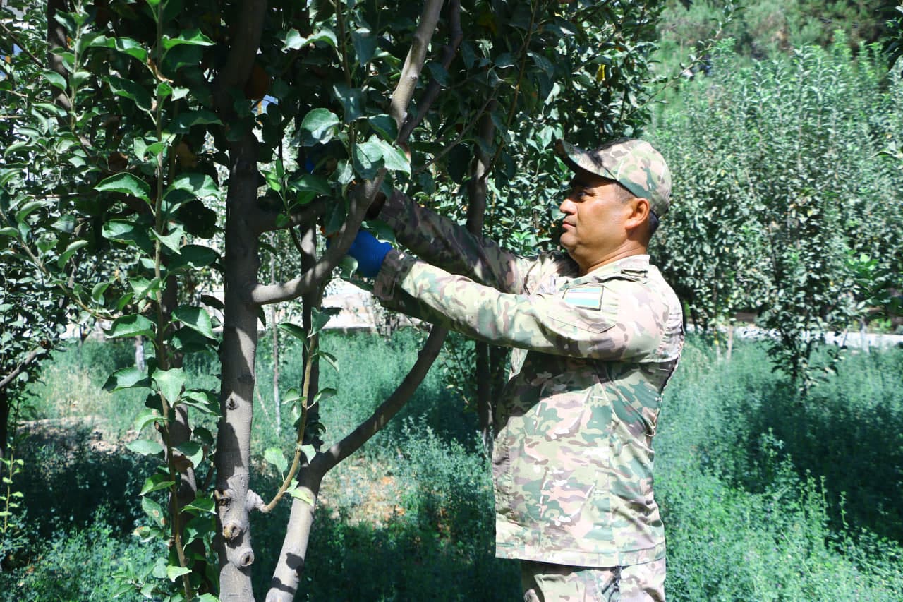 Obod va fayzli mahalla - yurt ko‘rki