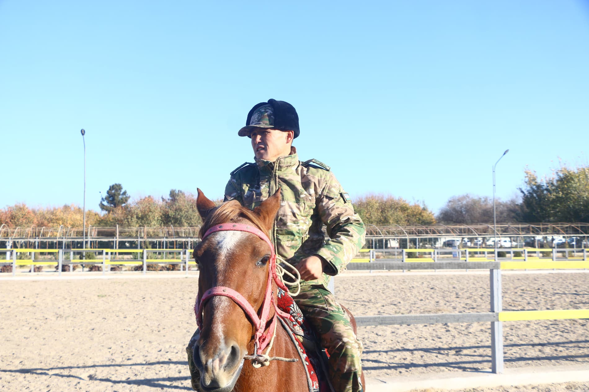 Denovda 100 nafar yoshlar “Jasorat maktabi” yig‘inida toblandi