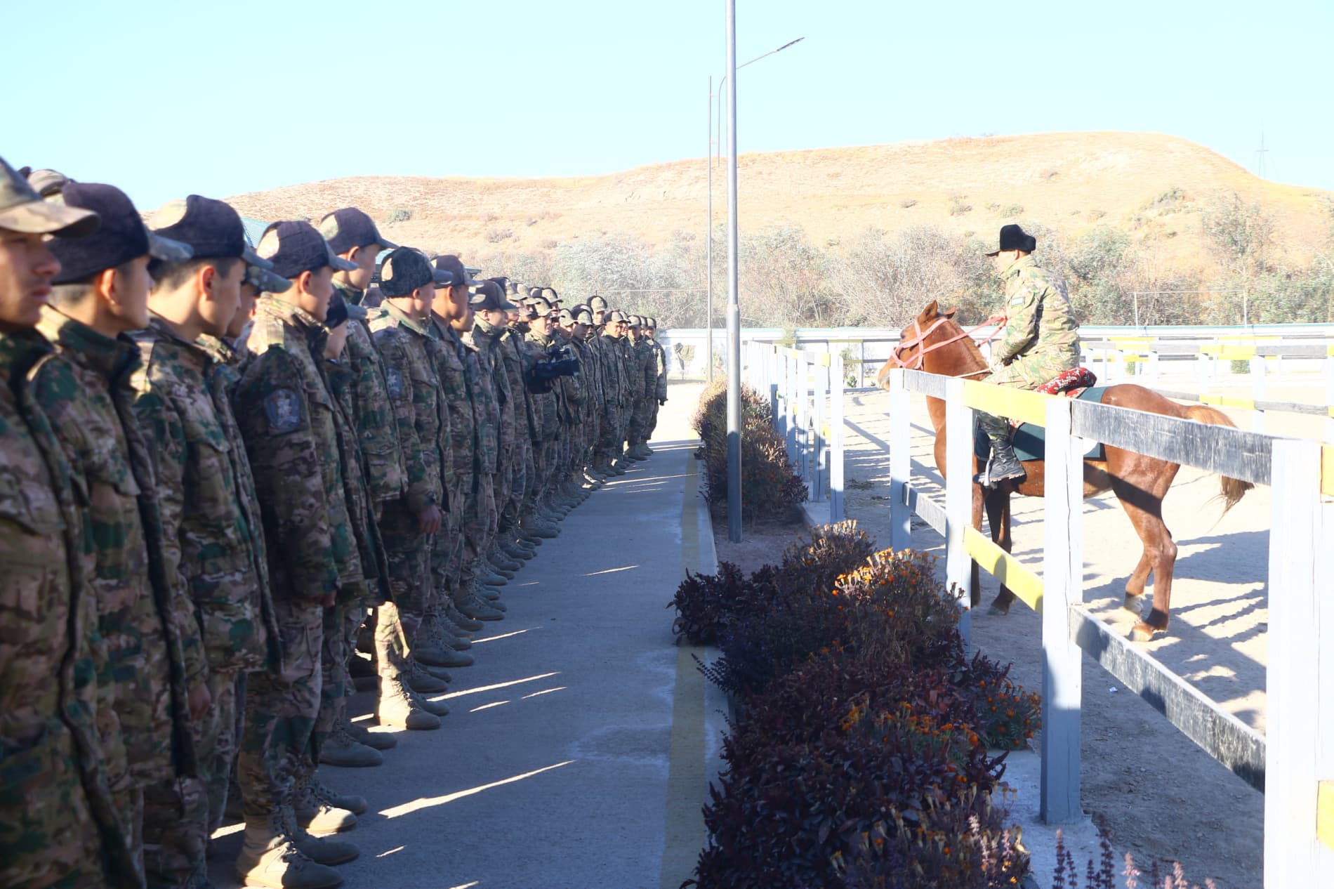 Denovda 100 nafar yoshlar “Jasorat maktabi” yig‘inida toblandi