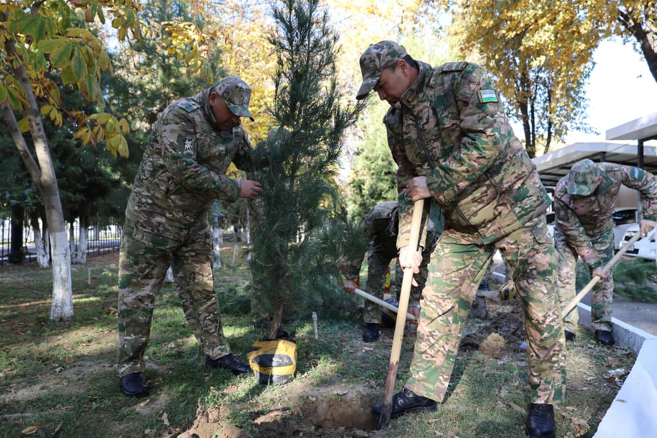 Qo‘mondonlik miqyosida “Yashil makon” loyihasi davom etmoqda