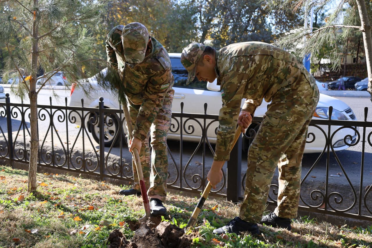 Qo‘mondonlik miqyosida “Yashil makon” loyihasi davom etmoqda