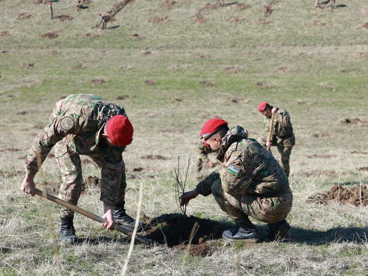 Harbiy xizmatchilar “Yashil makon” umummilliy loyihasida faol ishtirok etmoqda
