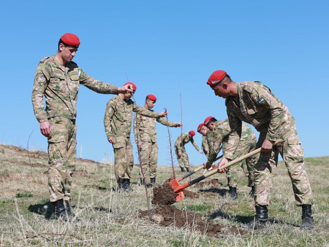 Harbiy xizmatchilar “Yashil makon” umummilliy loyihasida faol ishtirok etmoqda