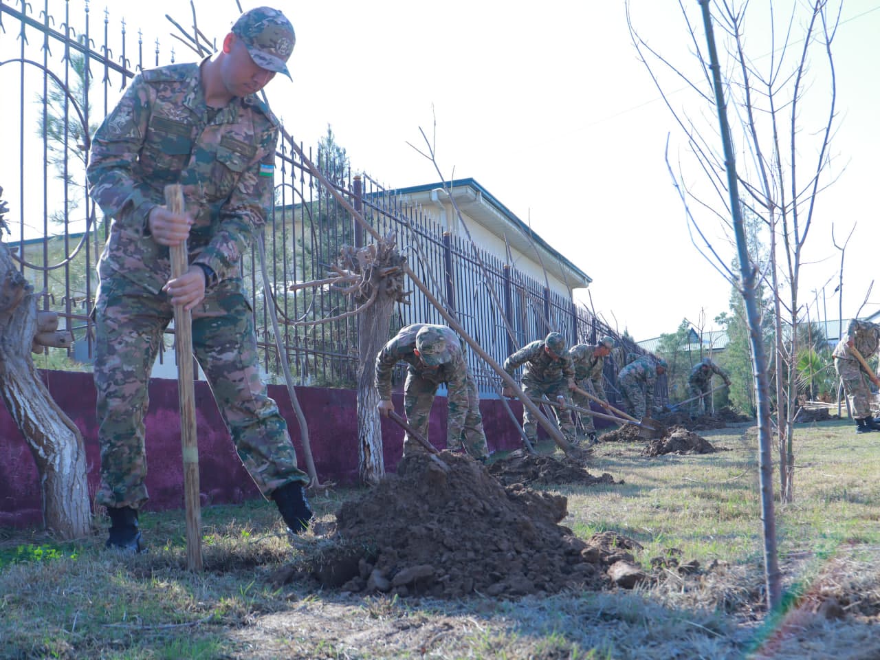 Surxondaryoda “Yashil makon” loyihasi doirasida keng ko‘lamli ishlar amalga oshirilmoqda