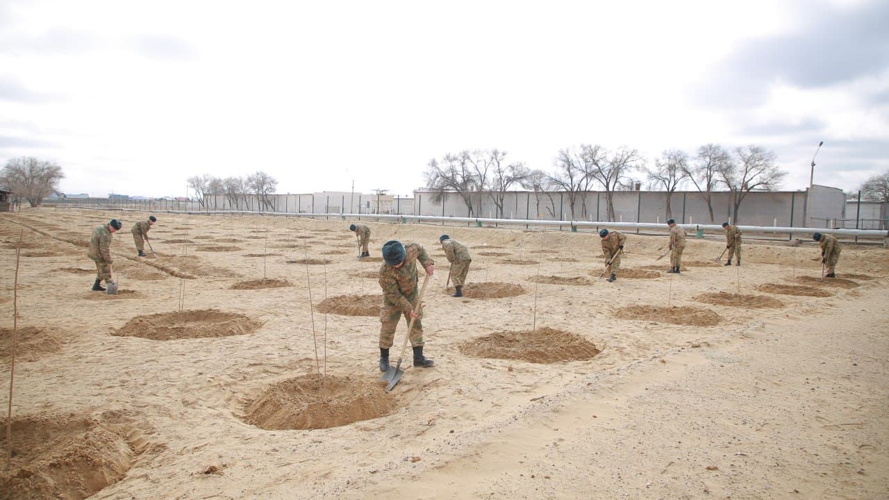 “Yashil makon” loyihasi doirasida ko‘chat ekish ishlari amalga oshirildi