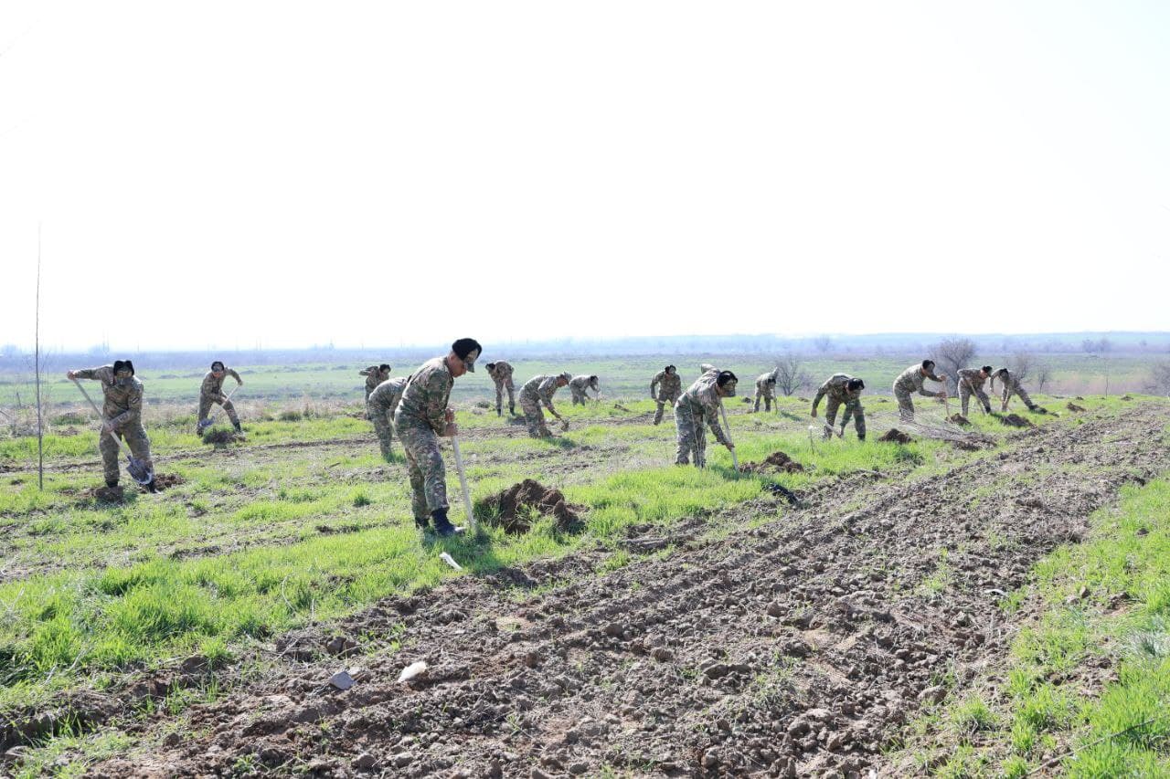 Военнослужащие активно участвуют в общенациональном проекте «Яшил макон»