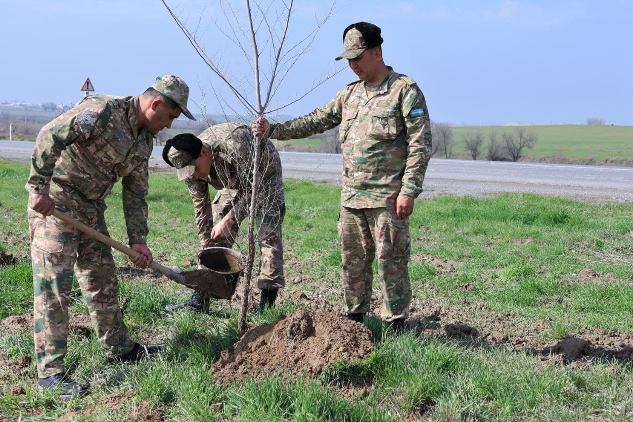 Военнослужащие активно участвуют в общенациональном проекте «Яшил макон»