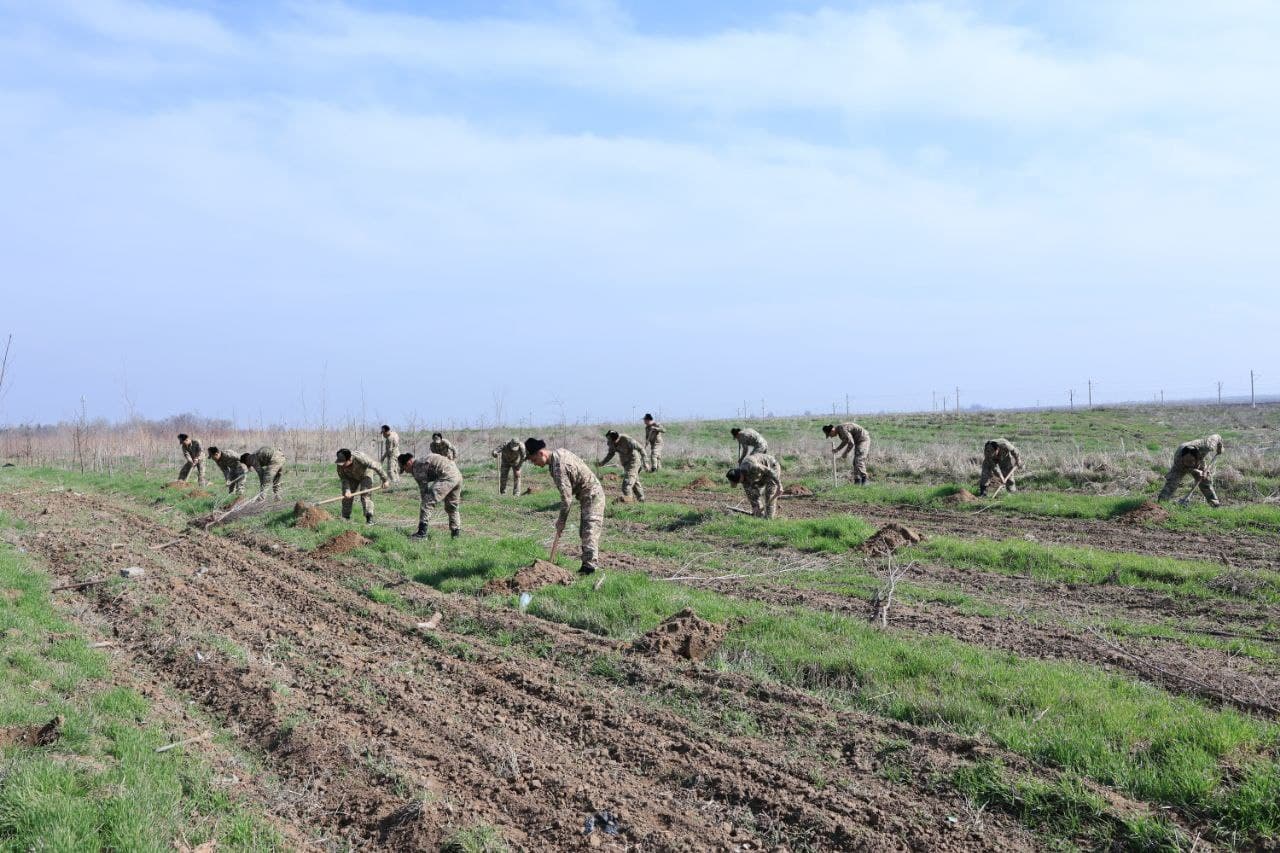 Военнослужащие активно участвуют в общенациональном проекте «Яшил макон»