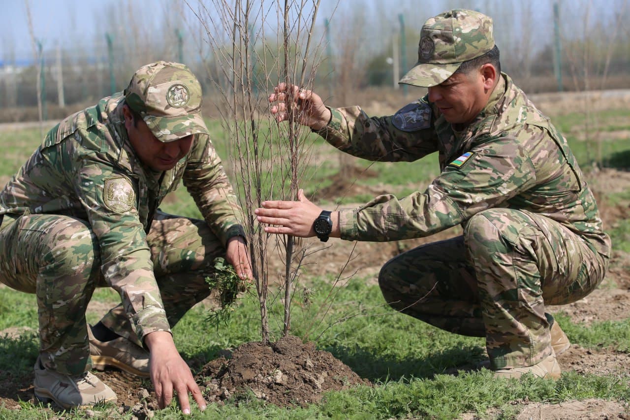 Qashqadaryoda ham harbiylar ommaviy hasharlarda faol qatnashdi